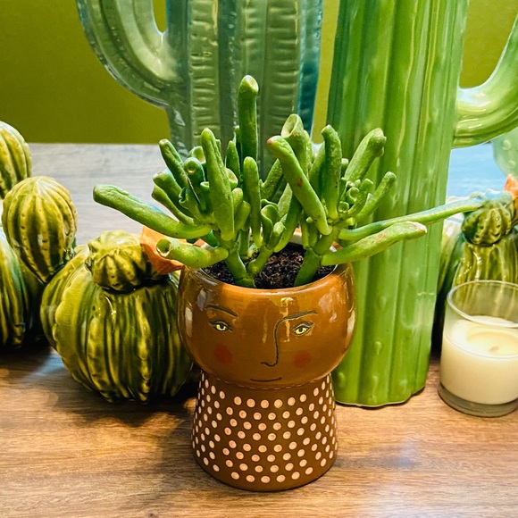 Opalhouse Other - Small Modern Face Planter/Vase NWT